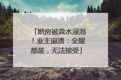 婚房被粪水浸泡！业主崩溃：全屋都是，无法接受
